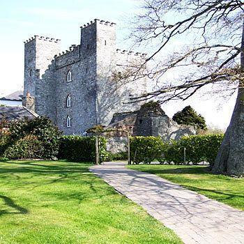 Barberstown Castle Hotel 4*